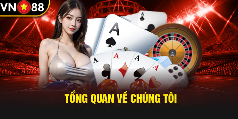 Tổng quan về chúng tôi